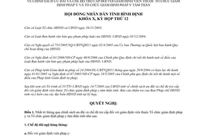 Nghị quyết 13/2008/NQ-HĐND ưu đãi trợ cấp đối giám định viên pháp y pháp y tâm thần Bình Định