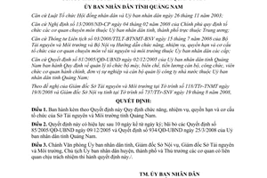 Quyết định 28/2008/QĐ-UBND chức năng nhiệm vụ Sở Tài nguyên môi trường Quảng Nam