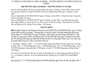 Quyết định 1114/QĐ-BLĐTBXH đính chính Thông tư liên tịch 16/2008/TTLT-BLĐTBXH-BTC