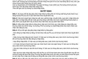 Quyết định 24/2008/QĐ-BCT áp dụng chế độ cấp giấy phép nhập khẩu tự động một số mặt hàng