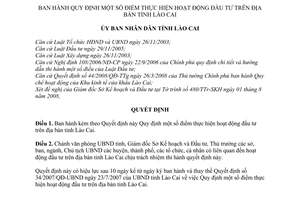 Quyết định 35/2008/QĐ-UBND hoạt động đầu tư