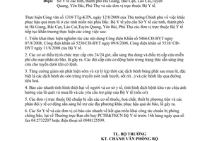 Công điện 5631/CĐ-BYT khắc phục hậu quả mưa lũ miền núi phía Bắc