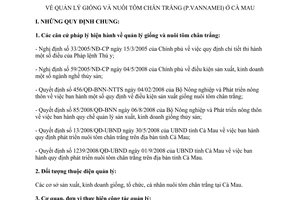 Hướng dẫn 431/HD-STS quản lý giống nuôi tôm chân trắng