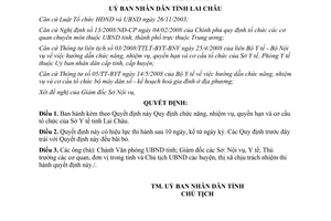 Quyết định 18/2008/QĐ-UBND chức năng nhiệm vụ quyền hạn và cơ cấu Sở Y tế