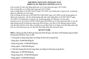 Nghị quyết 11/2008/NQ-HĐND  thông qua Đề án định giá rừng tạm thời giao, cho thuê bồi thường rừng tự nhiên