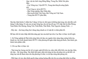 Công điện1452 hạn chế thấp nhất khả năng gây hại dịch Sâu đục thân bướm 2 chấm lứa 5 vũ hóa rộ