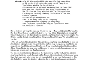 Công điện 1596/CĐ-TTg triển khai biện pháp phòng, chống mưa, bão hiệu quả