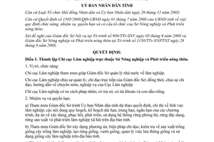 Quyết định 2170/QĐ-UBND thành lập chi cục lâm nghiệp Thừa Thiên Huế 2008