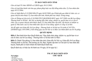 Quyết định 17/2008/QĐ-UBND chức năng nhiệm vụ cơ cấu tổ chức Sở Lao động Cà Mau