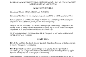 Quyết định 33/2008/QĐ-UBND cơ cấu tổ chức Sở Tài nguyên Môi trường Hà Tĩnh