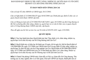 Quyết định 47/2008/QĐ-UBND chức năng nhiệm quyền hạn vụ Sở Công thương Lào Cai