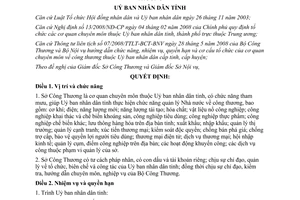 Quyết định 2022/QĐ-UB năm 2008 chức năng nhiệm vụ quyền hạn cơ cấu tổ chức