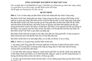 Quyết định 4857/QĐ-BHXH quy định chức năng, nhiệm vụ, quyền hạn và cơ cấu tổ chức của Bảo hiểm xã hội địa phương