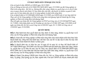 Quyết định 343/2008/QĐ-UBND chức năng nhiệm vụ quyền hạn tổ chức