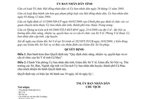 Quyết định số 22/2008/QĐ-UBND 2008 chức năng nhiệm vụ quyền hạn cơ cấu Sở Y tế Cà Mau