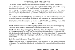 Quyết định 49/2008/QĐ-UBND tiêu chuẩn Trưởng phòng Phó phòng thuộc UBND huyện