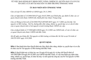 Quyết định 142/2008/QĐ-UBND nhiệm vụ quyền hạn cơ cấu tổ chức Sở Tài nguyên Môi trường Bắc Ninh