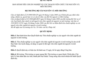 Quyết định 07/2008/QĐ-BTNMT Tiêu chuẩn nghiệp vụ ngạch viên chức ngành tài nguyên và môi trường