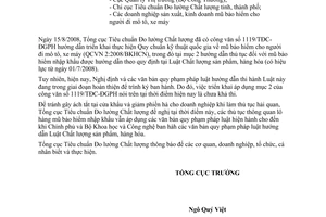 Công văn  1577/TĐC-ĐGPH Hướng dẫn thủ tục nhập khẩu mũ bảo hiểm