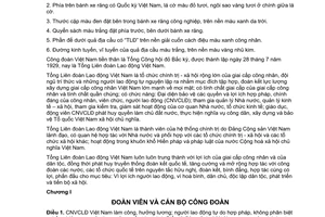 Điều lệ Công đoàn Việt Nam do Đại hội đại biểu Công đoàn toàn quốc lần thứ X thông qua