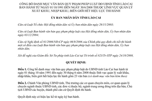 Quyết định 3424/QĐ-UBND năm 2008 danh mục văn bản Lào Cai lĩnh vực quản lý xuất nhập khẩu biên giới hết hiệu lực