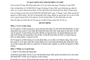 Quyết định 95/2008/QĐ-UBND chức năng nhiệm vụ quyền hạn cơ cấu Sở TN&MT