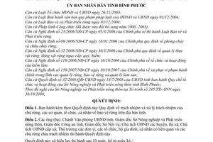Quyết định 77/2008/QĐ-UBND xử lý trách nhiệm chủ rừng, các cơ quan, tổ chức, cá nhân bảo vệ rừng