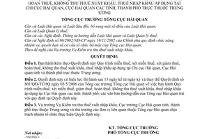 Quyết định 2424/QĐ-TCHQ quy trình xét miễn thuế, giảm thuế, hoàn thuế, không thu thuế xuất khẩu, thuế nhập khẩu