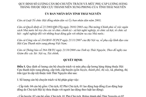 Quyết định 64/2008/QĐ-UBND số lượng cán bộ chuyên trách mức phụ cấp Hội Cựu thanh niên xung phong Thái Nguyên