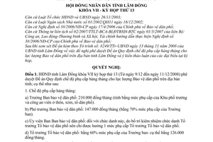 Nghị quyết 108/2008/NQ-HĐND phê duyệt Đề án quy định chế độ phụ cấp hàng tháng cho lực lượng bảo vệ dân phố