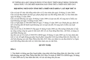 Nghị quyết 11h/2008/NQ-HĐNĐ thông qua Quy hoạch phân vùng phát triển