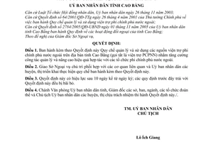 Quyết định 2865/2008/QĐ-UBND Quy chế quản lý sử dụng nguồn viện trợ phi chính