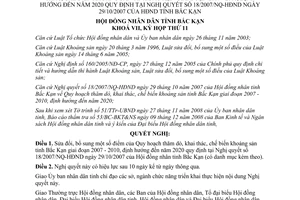 Nghị quyết 21/2008/NQ-HĐND Quy hoạch thăm dò khai thác chế biến khoáng sản