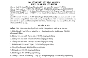 Nghị quyết 25/2008/NQ-HĐND điều chỉnh chế độ chính sách cán bộ không chuyên