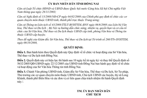 Quyết định 88/2008/QĐ-UBND tổ chức hoạt động sở Văn hóa Thể thao Du lịch Đồng Nai