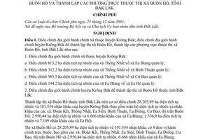 Nghị định 07/NĐ-CP điều chỉnh địa giới xã thuộc huyện Krông Búk thành lập thị xã Buôn Hồ phường thuộc tỉnh Đắk Lắk