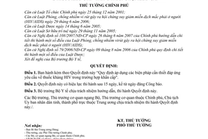 Quyết định 173/2008/QĐ-TTg Quy định áp dụng các biện pháp cần thiết đáp ứng yêu cầu về thuốc kháng HIV trong trường hợp khẩn cấp