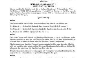 Nghị quyết 07/2008/NQ-HĐND chương trình hoạt động giám sát của Hội đồng nhân dân quận 11 năm 2009