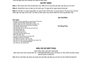 Quyết định 1744/2008/QĐ-BKH mẫu hồ sơ mời thầu gói thầu xây lắp quy mô nhỏ