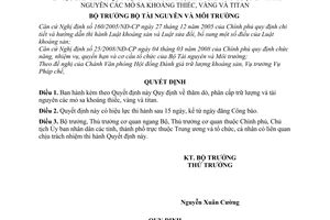 Quyết định 14/2008/QĐ-BTNMT quy định về thăm dò, phân cấp trữ lượng và tài nguyên các mỏ sa khoáng thiếc, vàng và titan