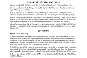 Quyết định 385/2008/QĐ-UBND chức năng cơ cấu Sở tài nguyên môi trường Ninh Thuận