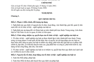 Nghị định 131/2008/NĐ-CP tổ chức xã hội nghề nghiệp của luật sư  hướng dẫn Luật Luật sư