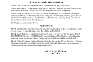 Quyết định 03/2009/QĐ-UBND Quy định chức năng nhiệm vụ quyền hạn cơ cấu tổ chức