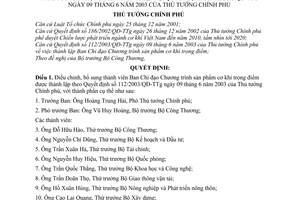 Quyết định 40/QĐ-TTg điều chỉnh, bổ sung thành viên Ban Chỉ đạo chương trình sản phẩm cơ khí trọng điểm thành lập QĐ 112/2003/QĐ-TTg