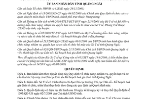 Quyết định 09/2009/QĐ-UBND cơ cấu Chi cục Dân số Kế hoạch hoá gia đình Quảng Ngã