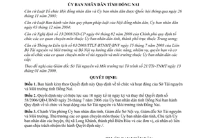 Quyết định 02/2009/QĐ-UBND tổ chức hoạt động Sở Tài nguyên Môi trường Đồng Nai