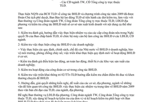 Công văn 111/TLĐ thông báo nội dung, kế hoạch kiểm tra hướng dẫn bảo hộ lao động 2009