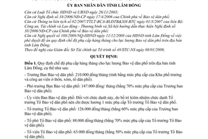 Quyết định 03/2009/QĐ-UBND chế độ phụ cấp hàng tháng, nguồn kinh phí hoạt động cho lực lượng bảo vệ dân phố