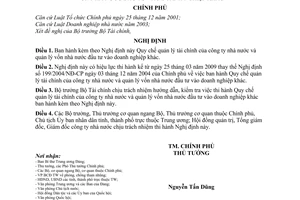 Nghị định 09/2009/NĐ-CP Quy chế quản lý tài chính công ty nhà nước vốn nhà nước đầu tư vào doanh nghiệp khác