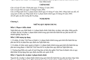 Nghị định 10/2009/NĐ-CP xử phạt vi phạm hành chính trong quá trình tiến hành thủ tục phá sản